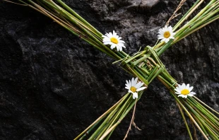 null Credit: MantasVD/Shutterstock