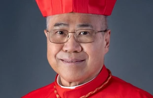 Cardinal William Goh, the archbishop of Singapore. Credit: Wikimedia Commons/CC BY-SA 4.0