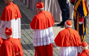 Cardinals in Rome. Credit: Daniel Ibáñez/CNA
