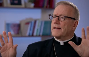 Bishop Robert Barron responded on June 22, 2025, to criticism of a talk he gave at the first meeting of President Trump’s Religious Liberty Commission in Washington, D.C. Credit: “EWTN News in Depth”/Screenshot