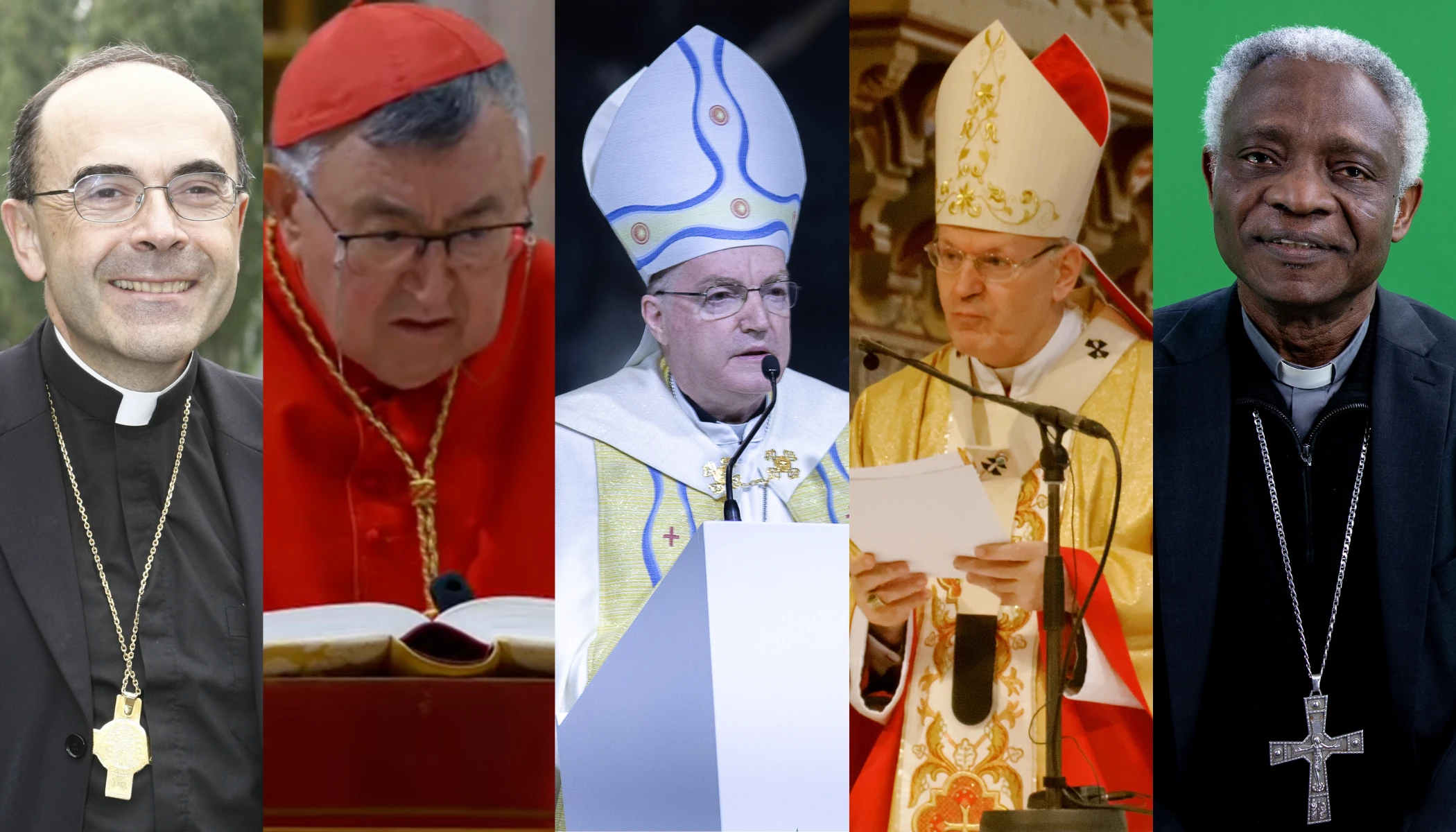 Left to right: Cardinal Philippe Barbarin, Cardinal Vinko Puljić, Cardinal Josip Bozanić, Cardinal Péter Erdő, and Cardinal Peter Turkson.?w=200&h=150
