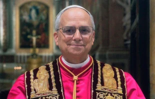 A cropped version of the official portrait of Pope Leo XIV, published by the Vatican on May 10, 2025. Credit: Vatican Media