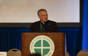 USCCB President Archbishop Timothy Broglio speaks at the bishops’ spring meeting, Thursday, June 13, 2024. Credit: USCCB